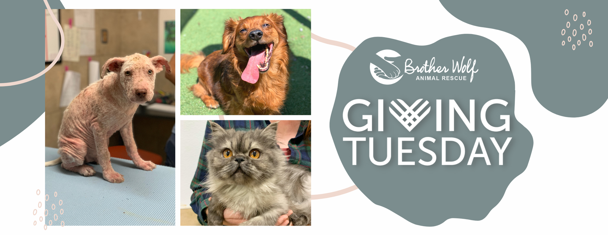 GivingTuesday 2021